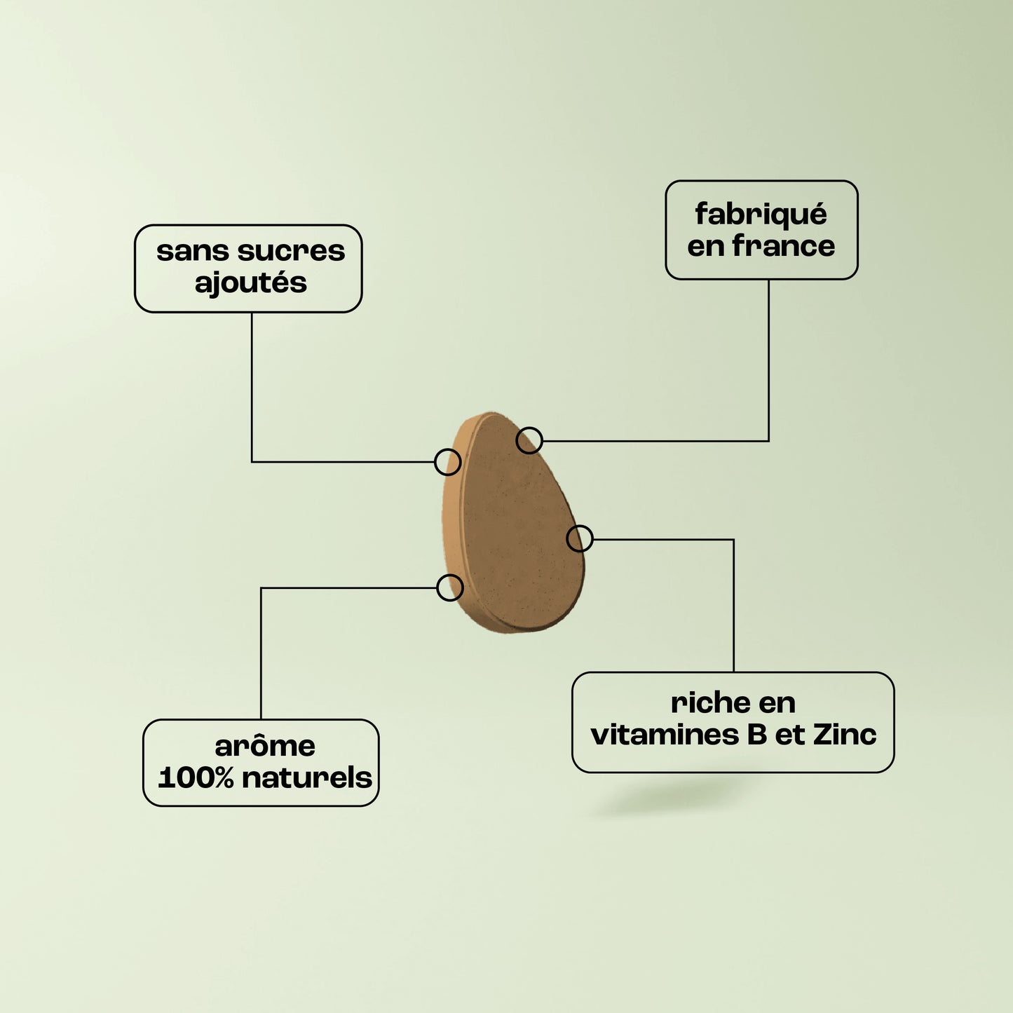 Sachet de 12 LXIR Thé Verveine - Citron