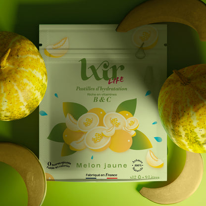 Sachet de 12 LXIR Life Melon